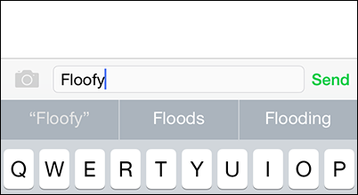 Google auto corrector picture