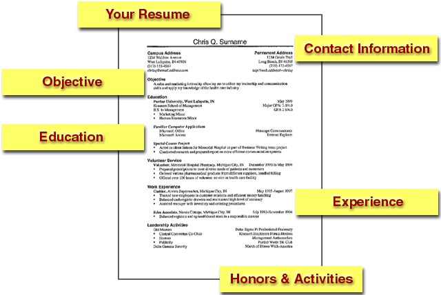 CV samples